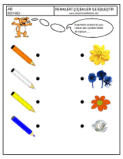 okul öncesi renkler çalışma sayfaları; renkleri eşleştirme çalışmaları